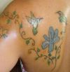 hummingbird and flower vine image tattoo on back